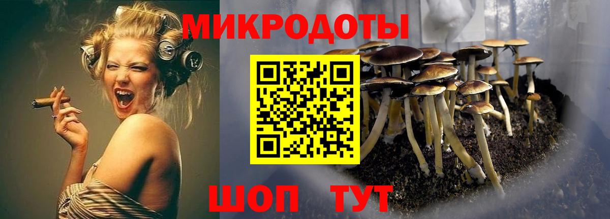 Псилоцибиновые грибы Psilocybe  цена наркотик  Луга  Вход с VPN 